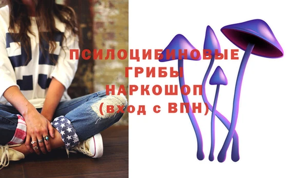марихуана Абаза