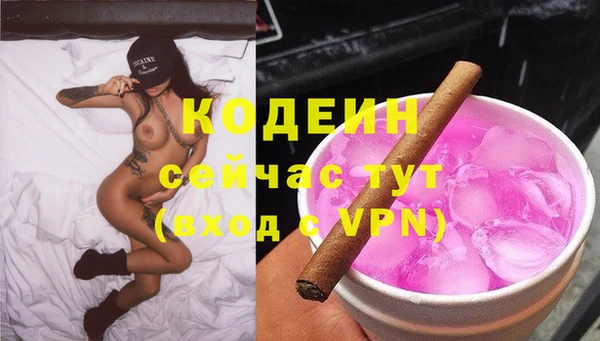 дживик Пересвет