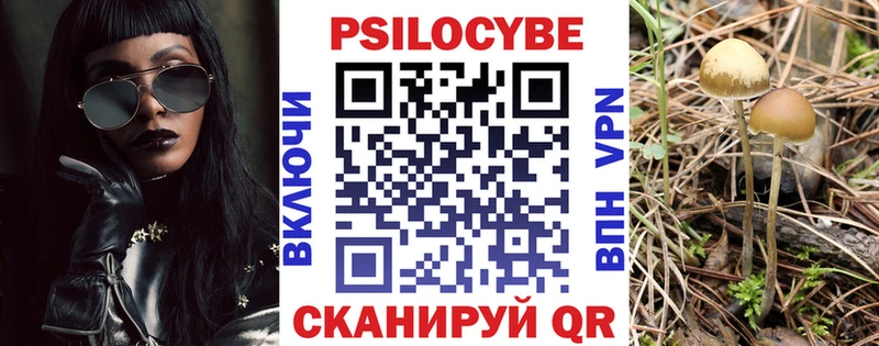 Псилоцибиновые грибы Cubensis  наркота  Шебекино 
