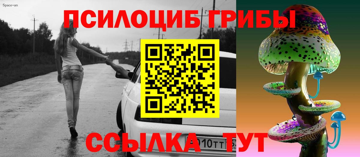 Шебекино  Галлюциногенные грибы мухоморы  Галлюциногенные грибы прущие грибы  Вход с VPN 